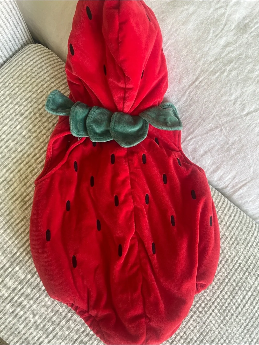 Pottery Barn Kids Strawberry Baby Costume